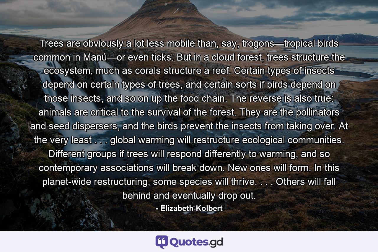 Trees are obviously a lot less mobile than, say, trogons—tropical birds common in Manú—or even ticks. But in a cloud forest, trees structure the ecosystem, much as corals structure a reef. Certain types of insects depend on certain types of trees, and certain sorts if birds depend on those insects, and so on up the food chain. The reverse is also true: animals are critical to the survival of the forest. They are the pollinators and seed dispersers, and the birds prevent the insects from taking over. At the very least . . . global warming will restructure ecological communities. Different groups if trees will respond differently to warming, and so contemporary associations will break down. New ones will form. In this planet-wide restructuring, some species will thrive. . . . Others will fall behind and eventually drop out. - Quote by Elizabeth Kolbert
