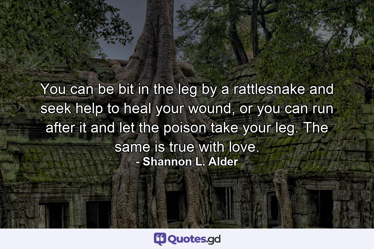 You can be bit in the leg by a rattlesnake and seek help to heal your wound, or you can run after it and let the poison take your leg. The same is true with love. - Quote by Shannon L. Alder