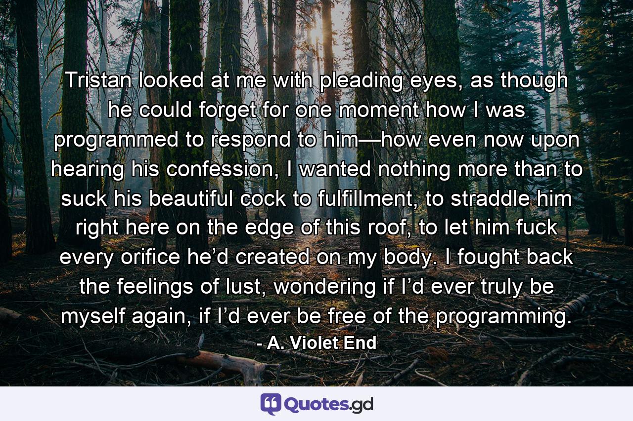 Tristan looked at me with pleading eyes, as though he could forget for one moment how I was programmed to respond to him—how even now upon hearing his confession, I wanted nothing more than to suck his beautiful cock to fulfillment, to straddle him right here on the edge of this roof, to let him fuck every orifice he’d created on my body. I fought back the feelings of lust, wondering if I’d ever truly be myself again, if I’d ever be free of the programming. - Quote by A. Violet End