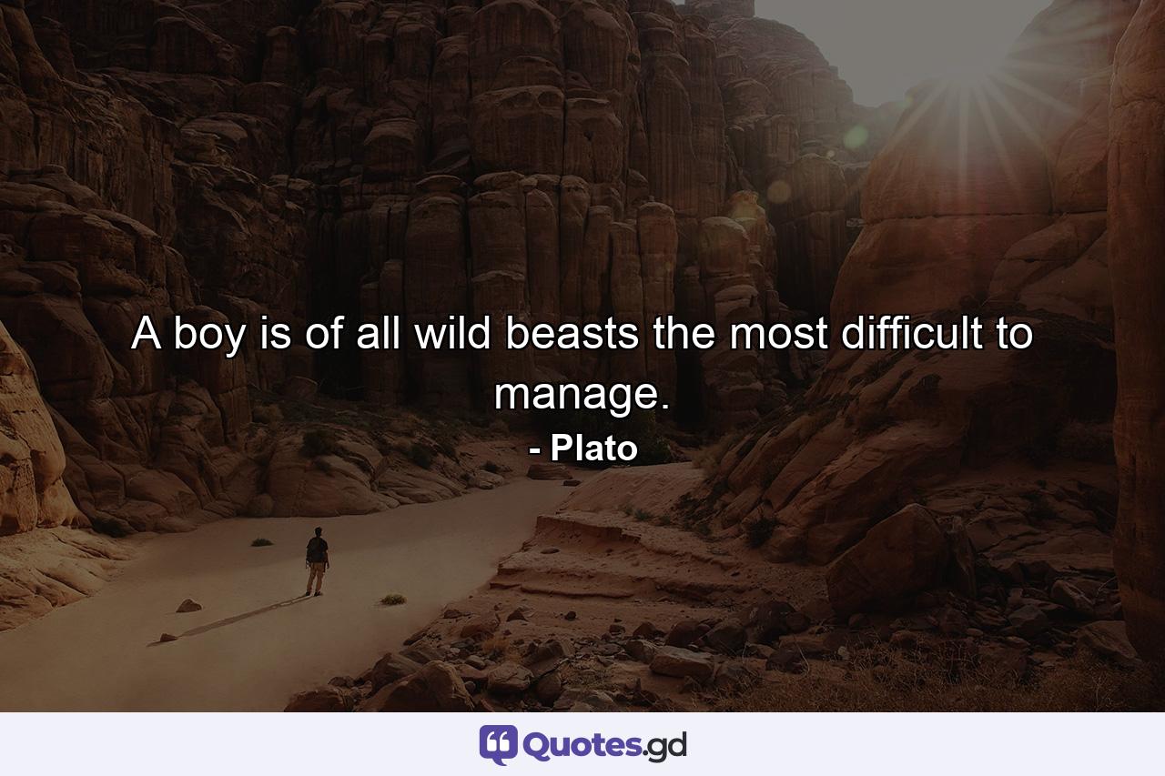 A boy is  of all wild beasts  the most difficult to manage. - Quote by Plato