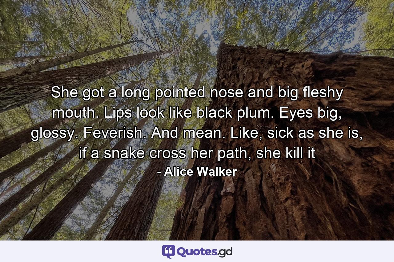 She got a long pointed nose and big fleshy mouth. Lips look like black plum. Eyes big, glossy. Feverish. And mean. Like, sick as she is, if a snake cross her path, she kill it - Quote by Alice Walker