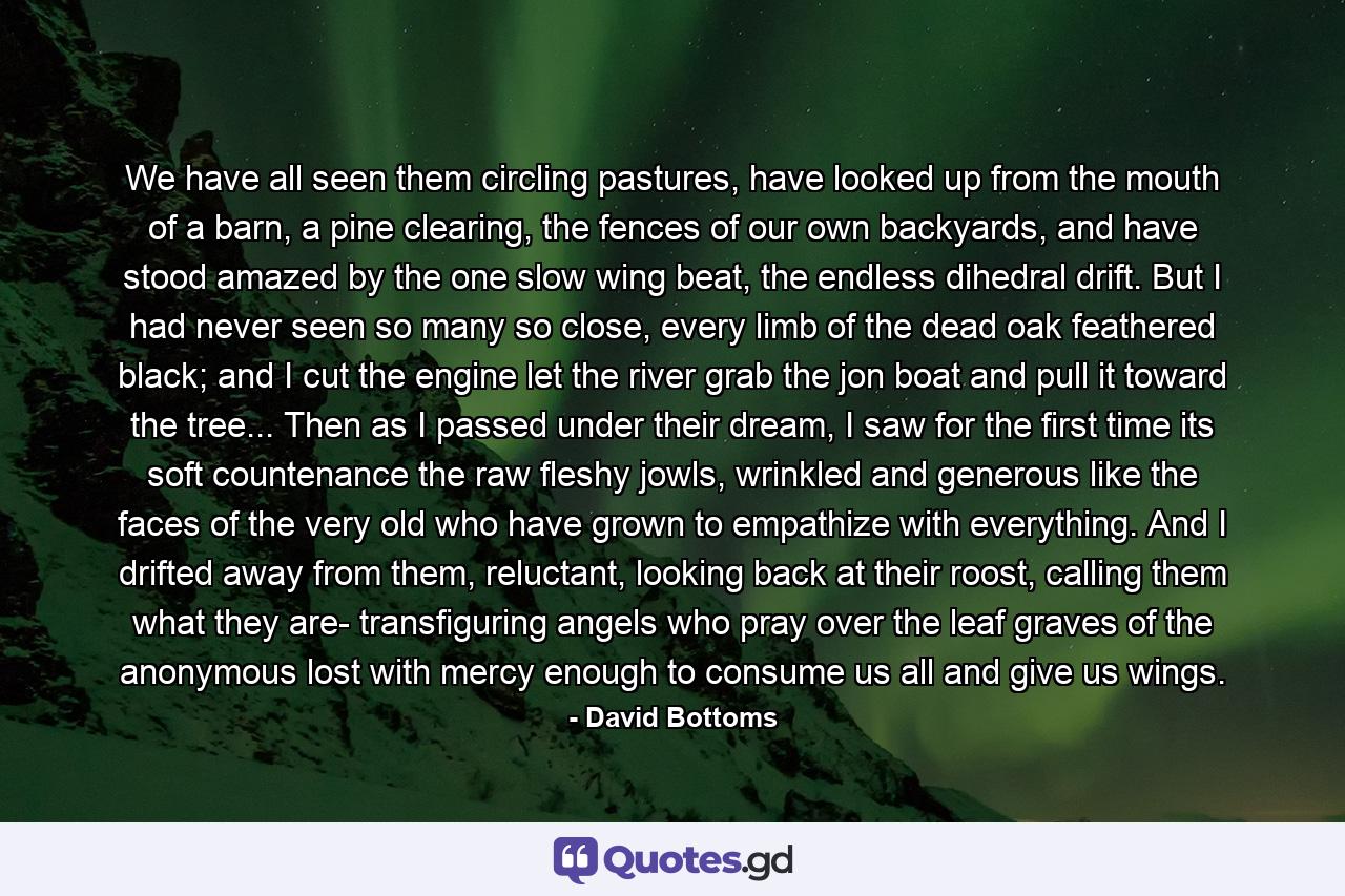 We have all seen them circling pastures, have looked up from the mouth of a barn, a pine clearing, the fences of our own backyards, and have stood amazed by the one slow wing beat, the endless dihedral drift. But I had never seen so many so close, every limb of the dead oak feathered black; and I cut the engine let the river grab the jon boat and pull it toward the tree... Then as I passed under their dream, I saw for the first time its soft countenance the raw fleshy jowls, wrinkled and generous like the faces of the very old who have grown to empathize with everything. And I drifted away from them, reluctant, looking back at their roost, calling them what they are- transfiguring angels who pray over the leaf graves of the anonymous lost with mercy enough to consume us all and give us wings. - Quote by David Bottoms