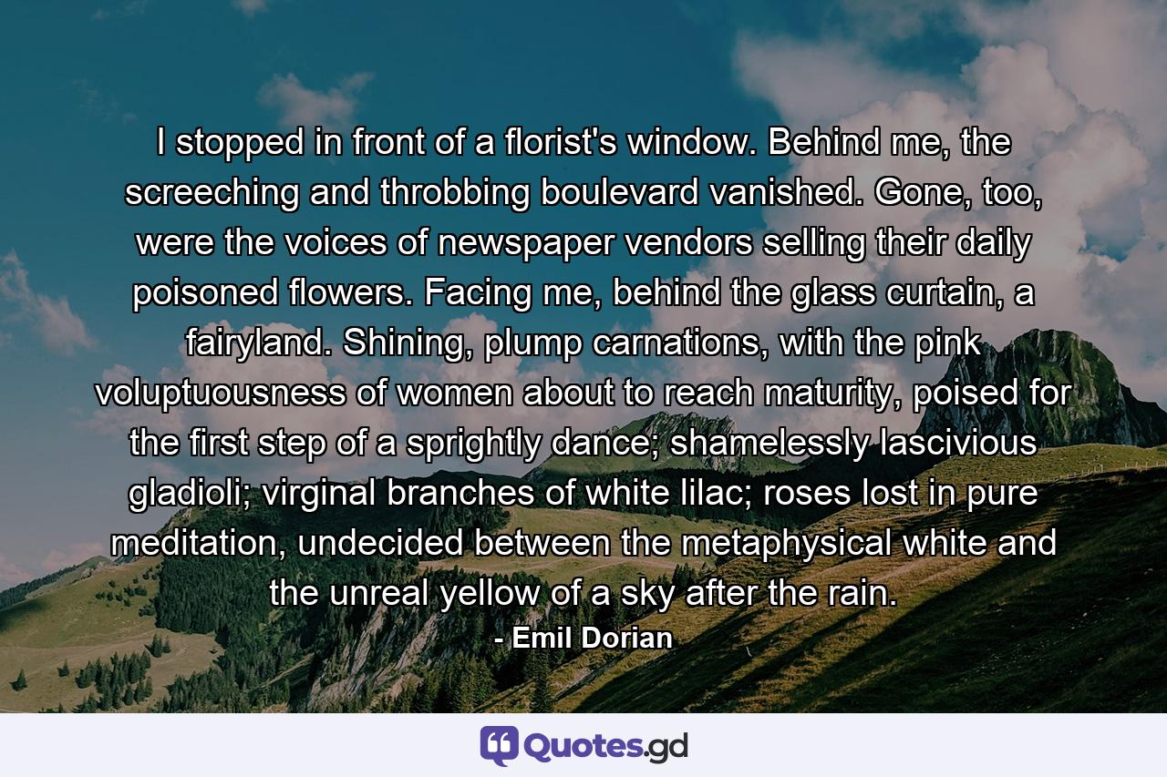 I stopped in front of a florist's window. Behind me, the screeching and throbbing boulevard vanished. Gone, too, were the voices of newspaper vendors selling their daily poisoned flowers. Facing me, behind the glass curtain, a fairyland. Shining, plump carnations, with the pink voluptuousness of women about to reach maturity, poised for the first step of a sprightly dance; shamelessly lascivious gladioli; virginal branches of white lilac; roses lost in pure meditation, undecided between the metaphysical white and the unreal yellow of a sky after the rain. - Quote by Emil Dorian