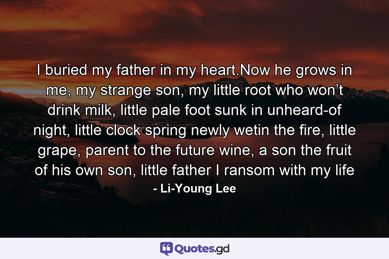 I buried my father in my heart.Now he grows in me, my strange son, my little root who won’t drink milk, little pale foot sunk in unheard-of night, little clock spring newly wetin the fire, little grape, parent to the future wine, a son the fruit of his own son, little father I ransom with my life - Quote by Li-Young Lee