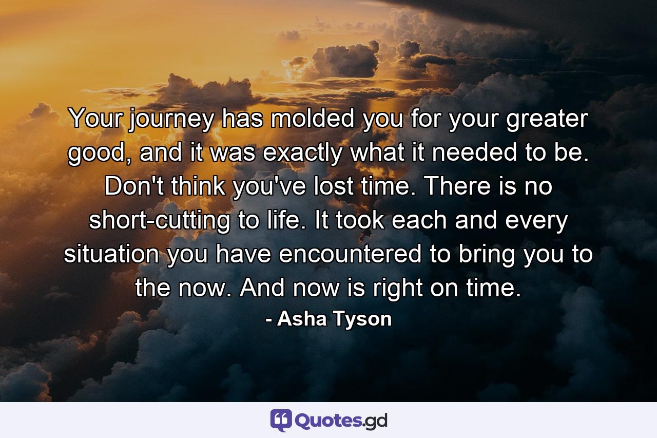 Your journey has molded you for your greater good, and it was exactly what it needed to be. Don't think you've lost time. There is no short-cutting to life. It took each and every situation you have encountered to bring you to the now. And now is right on time. - Quote by Asha Tyson