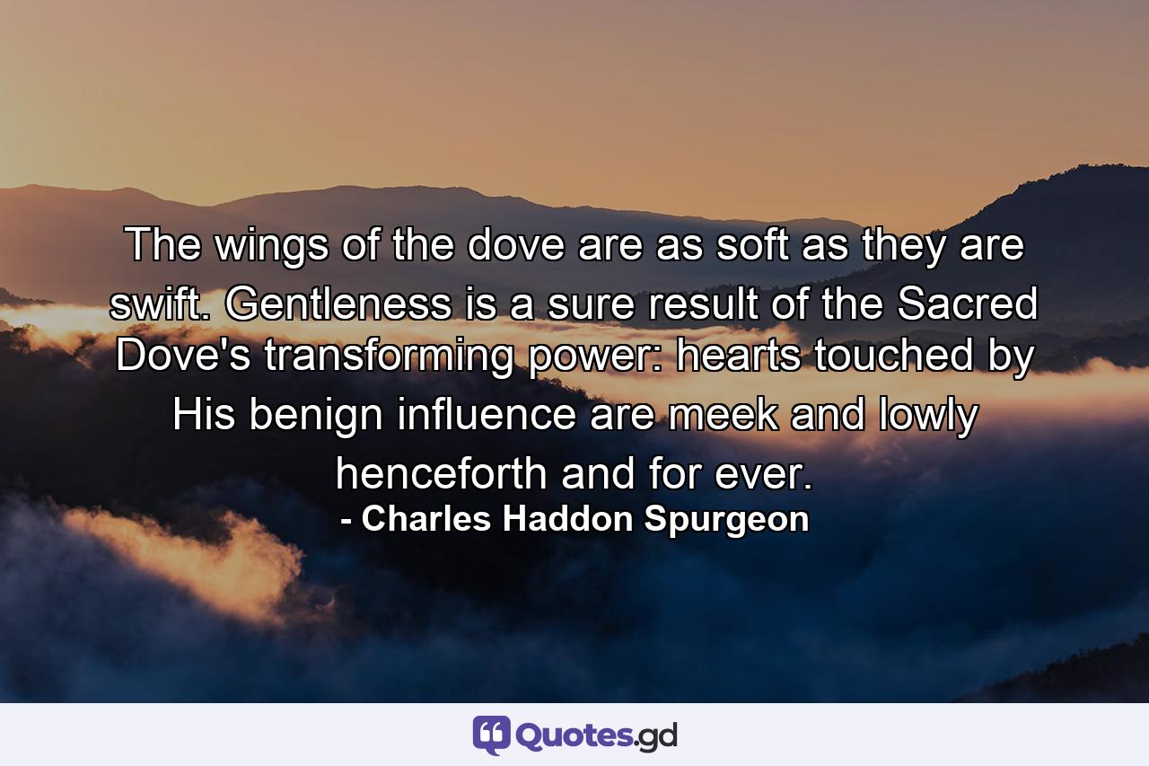 The wings of the dove are as soft as they are swift. Gentleness is a sure result of the Sacred Dove's transforming power: hearts touched by His benign influence are meek and lowly henceforth and for ever. - Quote by Charles Haddon Spurgeon