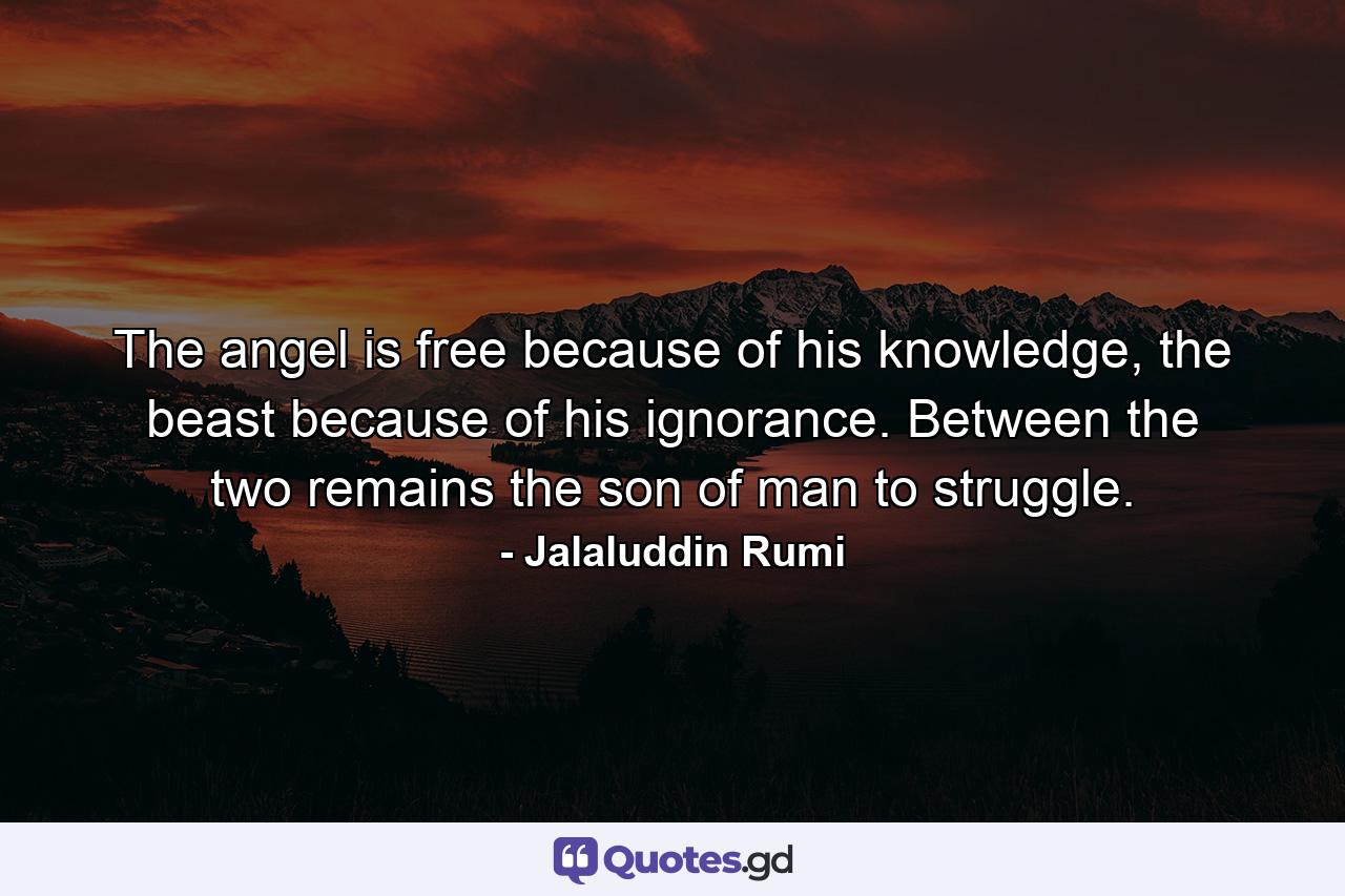 The angel is free because of his knowledge, the beast because of his ignorance. Between the two remains the son of man to struggle. - Quote by Jalaluddin Rumi