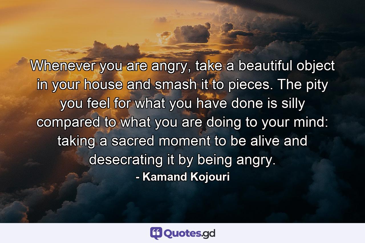 Whenever you are angry, take a beautiful object in your house and smash it to pieces. The pity you feel for what you have done is silly compared to what you are doing to your mind: taking a sacred moment to be alive and desecrating it by being angry. - Quote by Kamand Kojouri