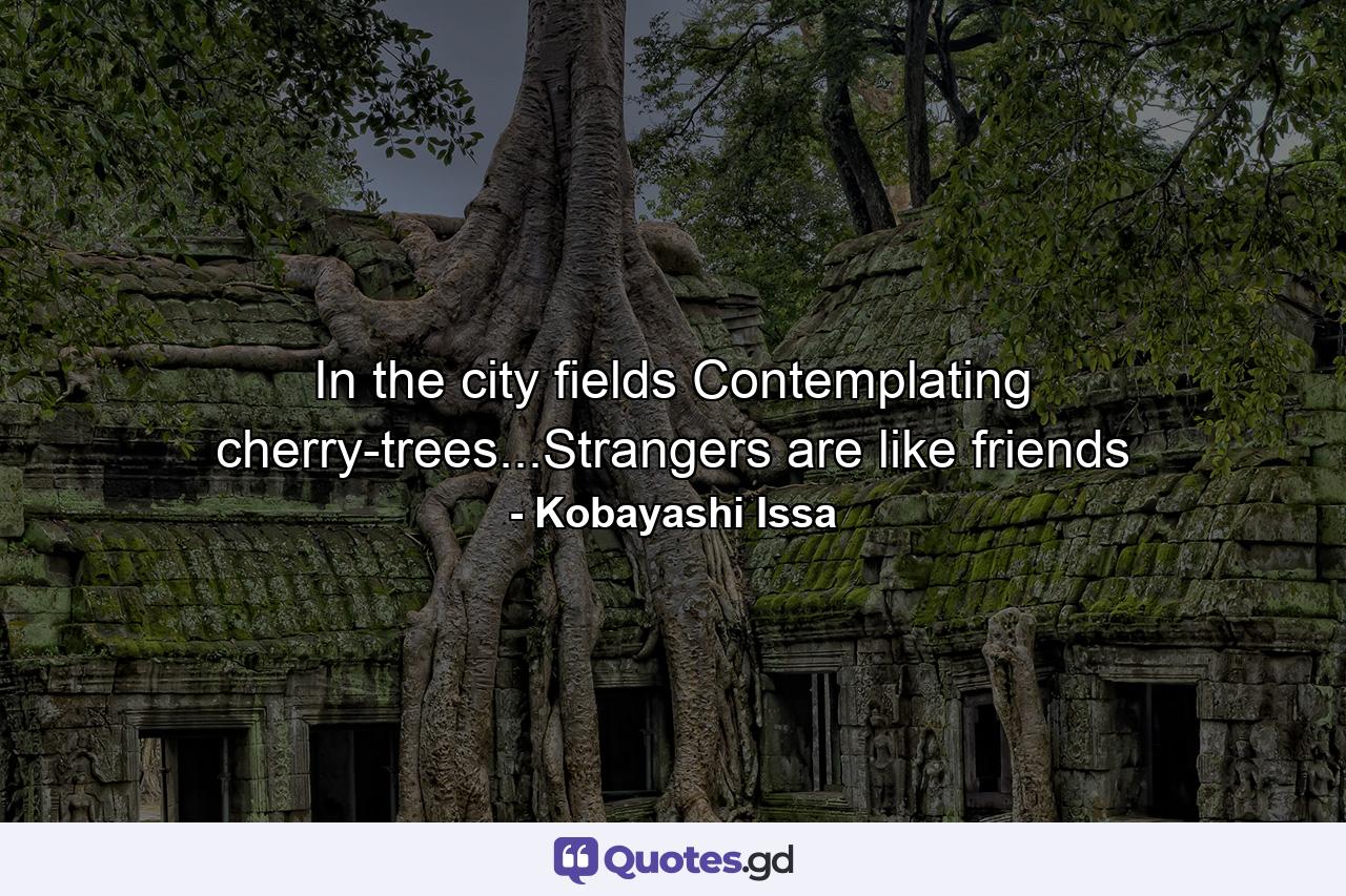 In the city fields Contemplating cherry-trees...Strangers are like friends - Quote by Kobayashi Issa