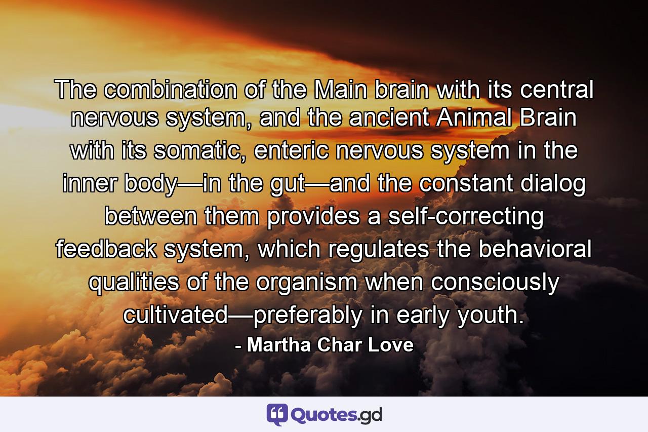 The combination of the Main brain with its central nervous system, and the ancient Animal Brain with its somatic, enteric nervous system in the inner body—in the gut—and the constant dialog between them provides a self-correcting feedback system, which regulates the behavioral qualities of the organism when consciously cultivated—preferably in early youth. - Quote by Martha Char Love