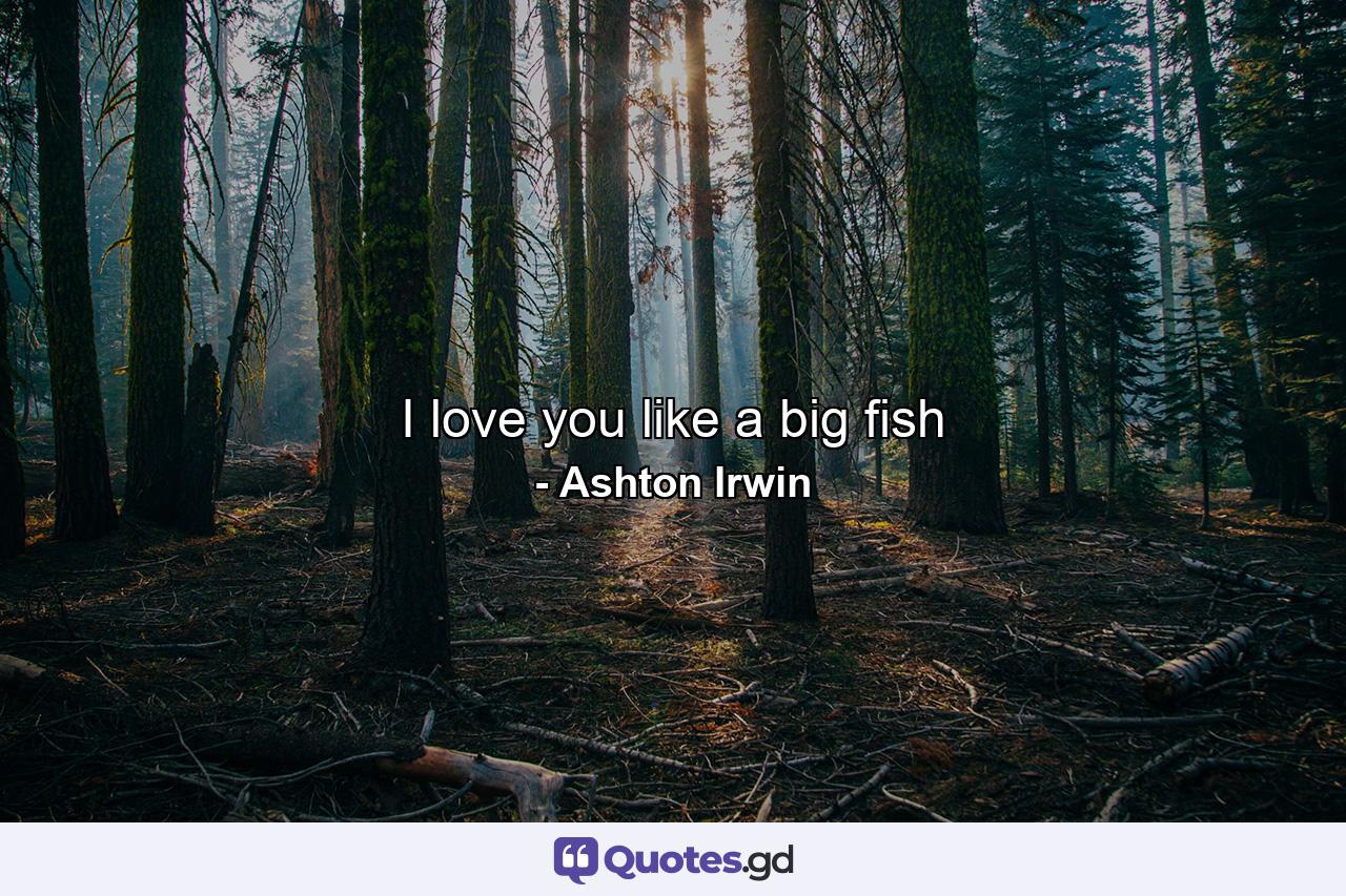 I love you like a big fish - Quote by Ashton Irwin