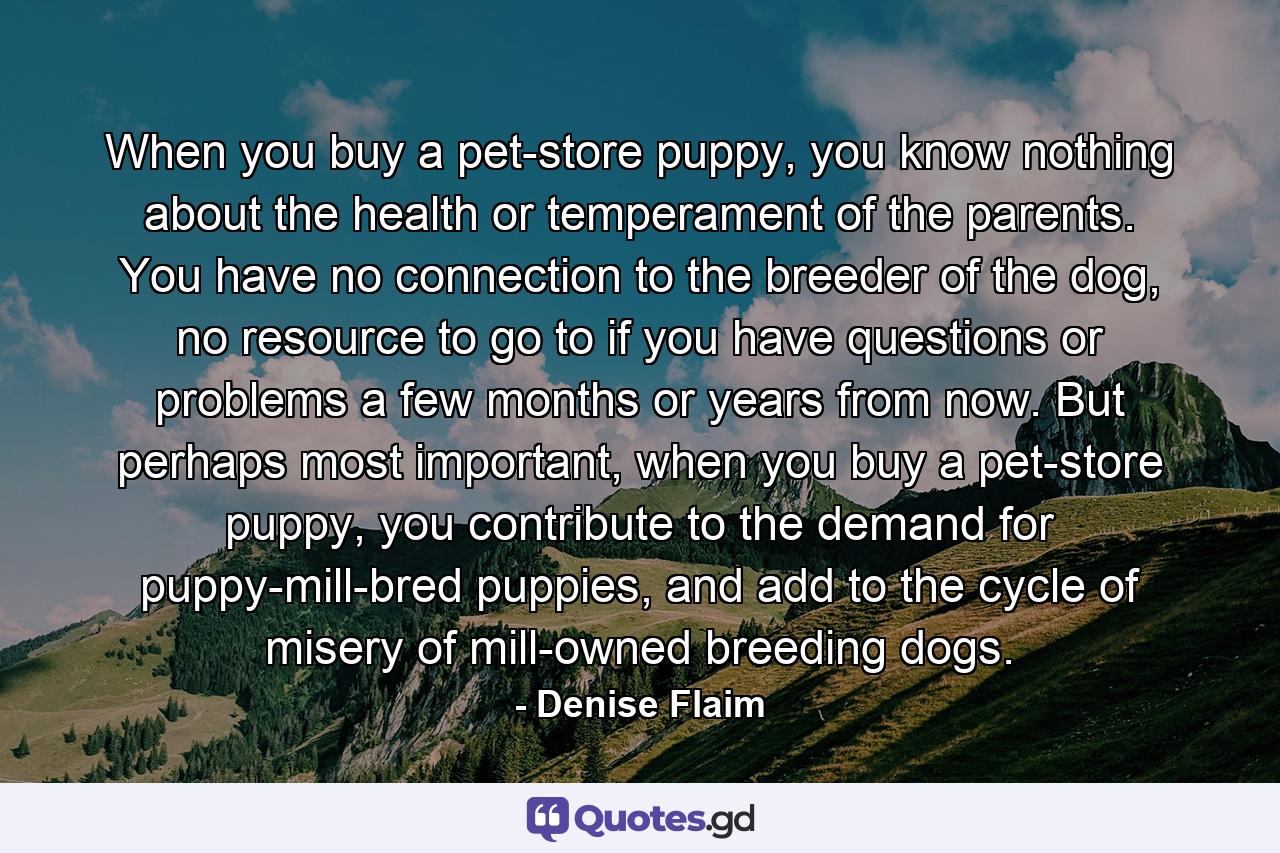 When you buy a pet-store puppy, you know nothing about the health or temperament of the parents. You have no connection to the breeder of the dog, no resource to go to if you have questions or problems a few months or years from now. But perhaps most important, when you buy a pet-store puppy, you contribute to the demand for puppy-mill-bred puppies, and add to the cycle of misery of mill-owned breeding dogs. - Quote by Denise Flaim