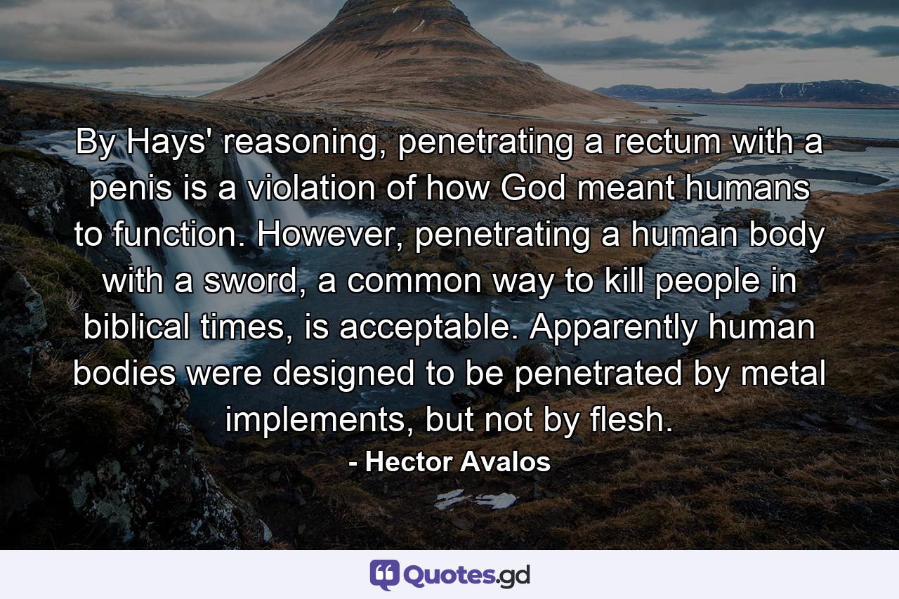 By Hays' reasoning, penetrating a rectum with a penis is a violation of how God meant humans to function. However, penetrating a human body with a sword, a common way to kill people in biblical times, is acceptable. Apparently human bodies were designed to be penetrated by metal implements, but not by flesh. - Quote by Hector Avalos