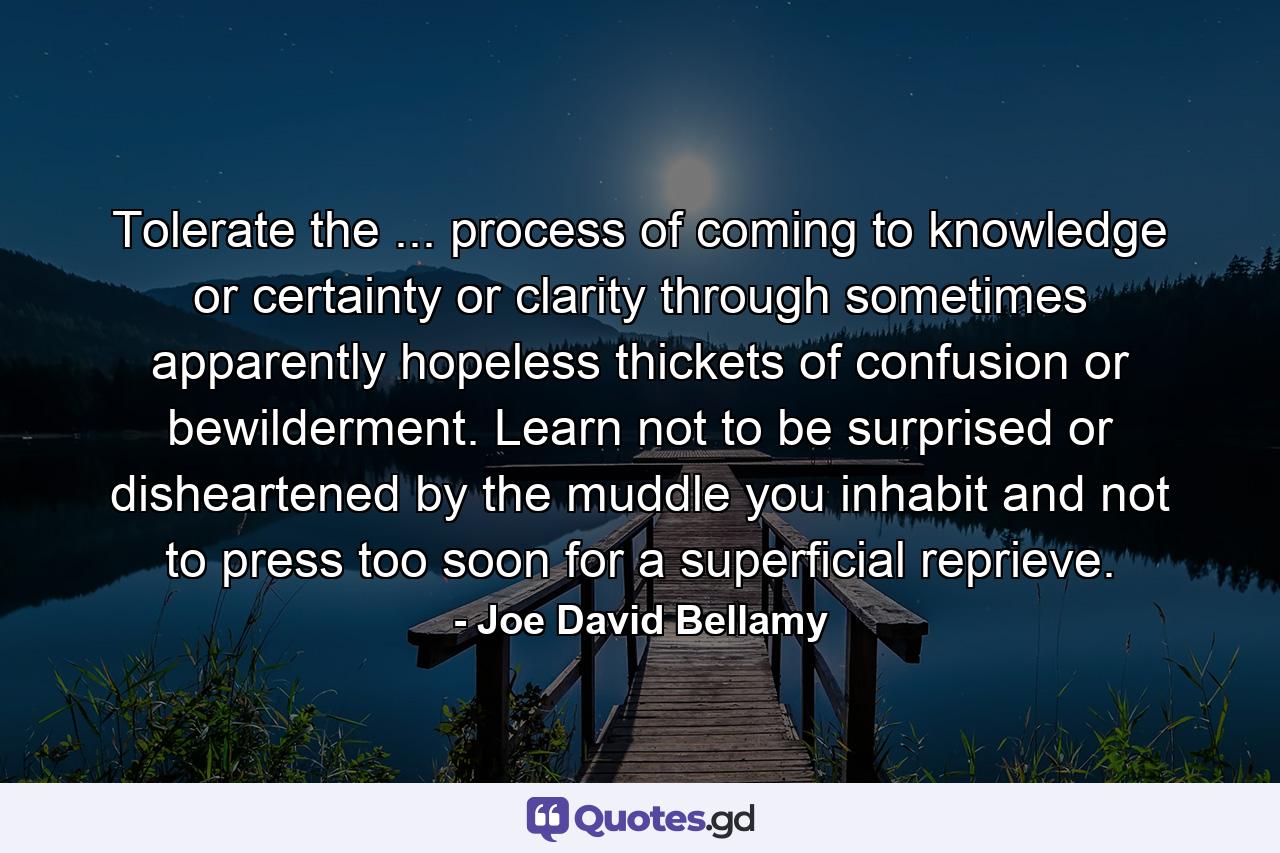 Tolerate the ... process of coming to knowledge or certainty or clarity through sometimes apparently hopeless thickets of confusion or bewilderment. Learn not to be surprised or disheartened by the muddle you inhabit  and not to press too soon for a superficial reprieve. - Quote by Joe David Bellamy