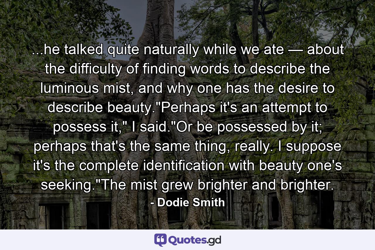 ...he talked quite naturally while we ate — about the difficulty of finding words to describe the luminous mist, and why one has the desire to describe beauty.