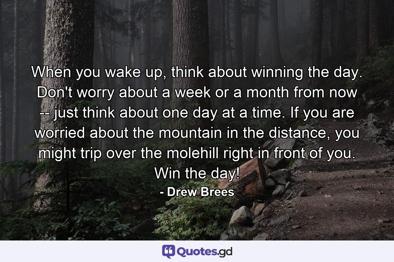 When you wake up, think about winning the day. Don't worry about a week or a month from now -- just think about one day at a time. If you are worried about the mountain in the distance, you might trip over the molehill right in front of you. Win the day! - Quote by Drew Brees