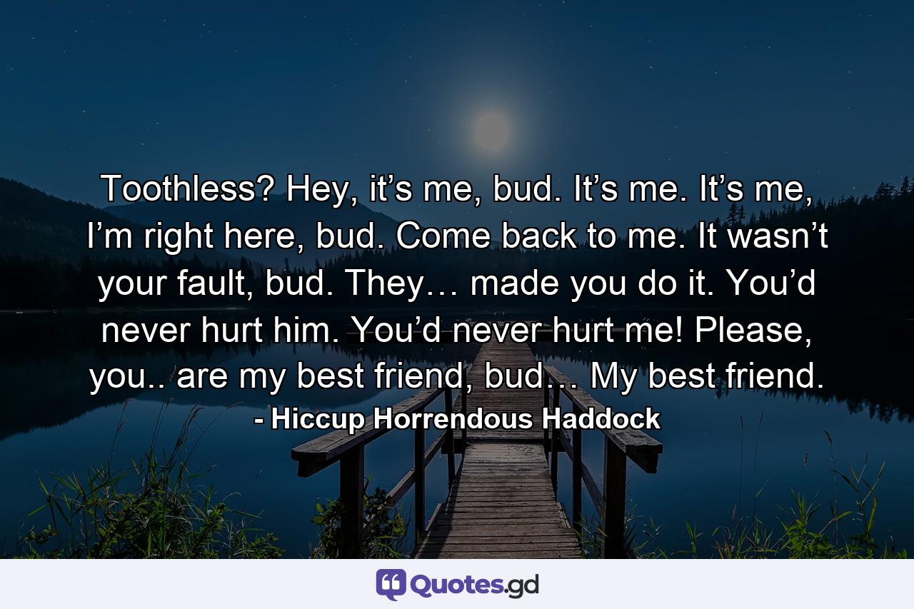 Toothless? Hey, it’s me, bud. It’s me. It’s me, I’m right here, bud. Come back to me. It wasn’t your fault, bud. They… made you do it. You’d never hurt him. You’d never hurt me! Please, you.. are my best friend, bud… My best friend. - Quote by Hiccup Horrendous Haddock