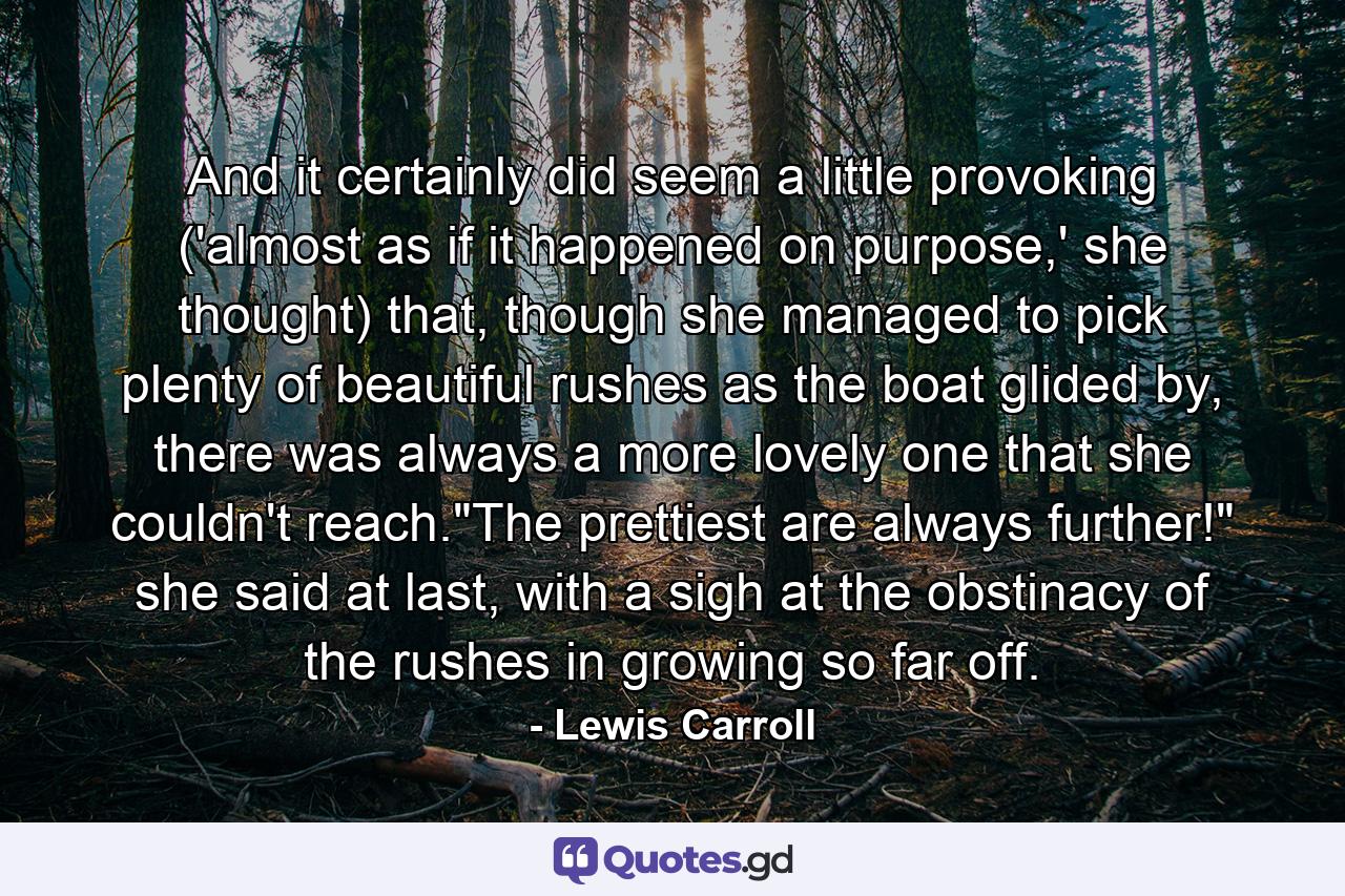 And it certainly did seem a little provoking ('almost as if it happened on purpose,' she thought) that, though she managed to pick plenty of beautiful rushes as the boat glided by, there was always a more lovely one that she couldn't reach.