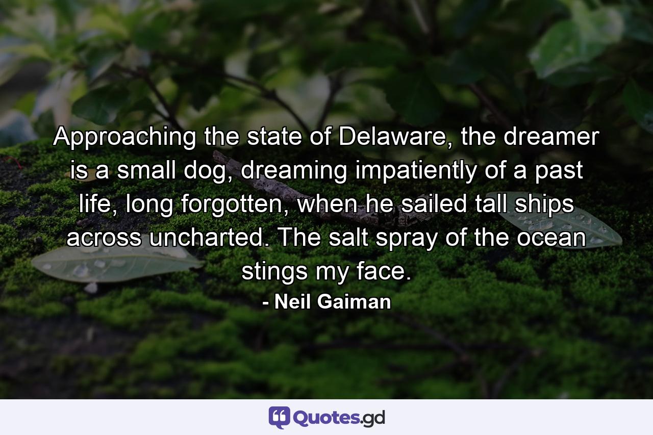 Approaching the state of Delaware, the dreamer is a small dog, dreaming impatiently of a past life, long forgotten, when he sailed tall ships across uncharted. The salt spray of the ocean stings my face. - Quote by Neil Gaiman