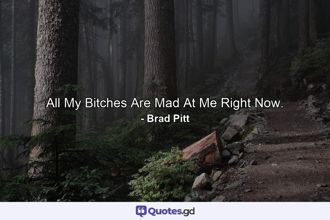 All My Bitches Are Mad At Me Right Now. - Quote by Brad Pitt