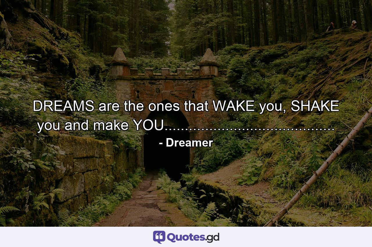 DREAMS are the ones that WAKE you, SHAKE you and make YOU.......................................... - Quote by Dreamer