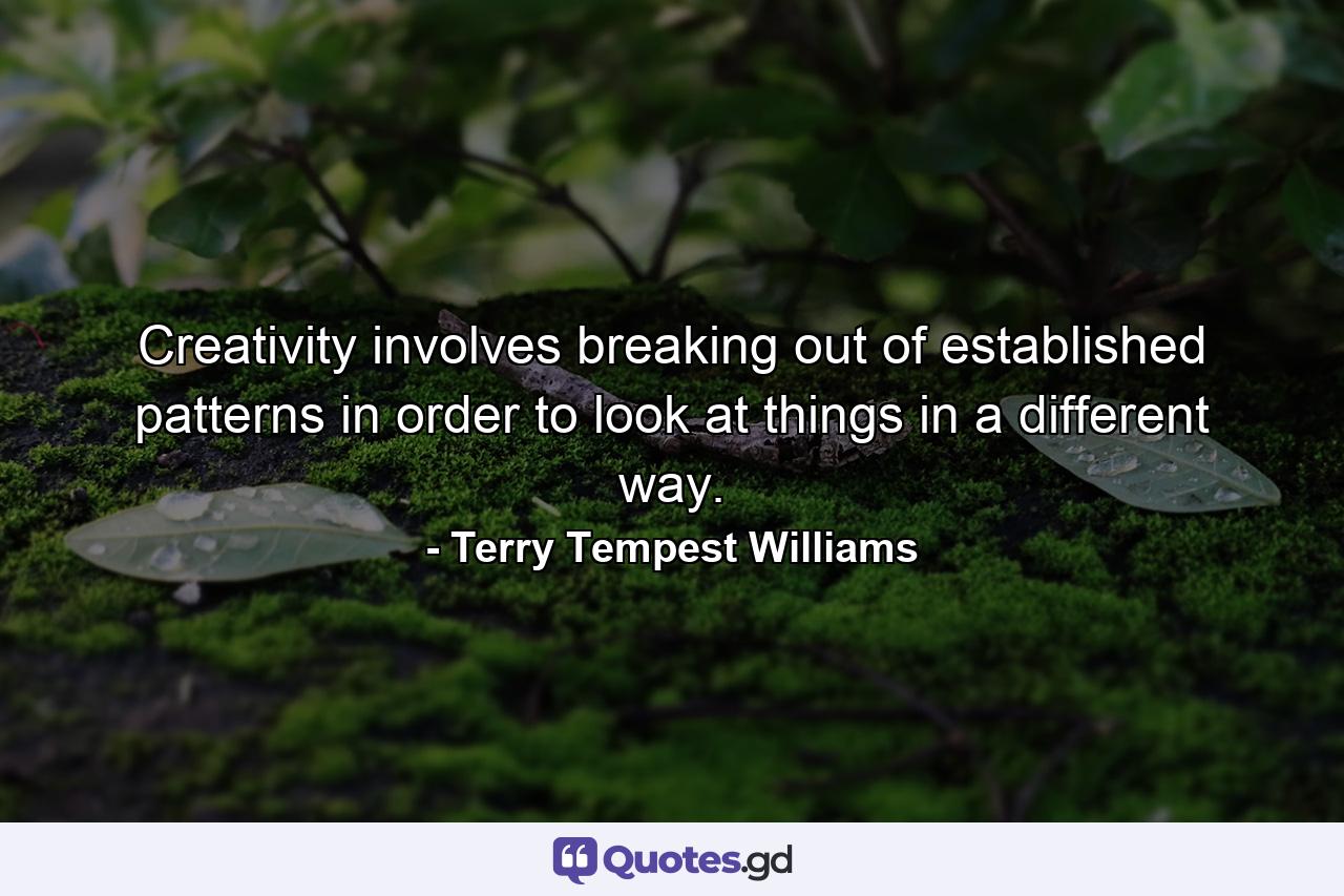 Creativity involves breaking out of established patterns in order to look at things in a different way. - Quote by Terry Tempest Williams