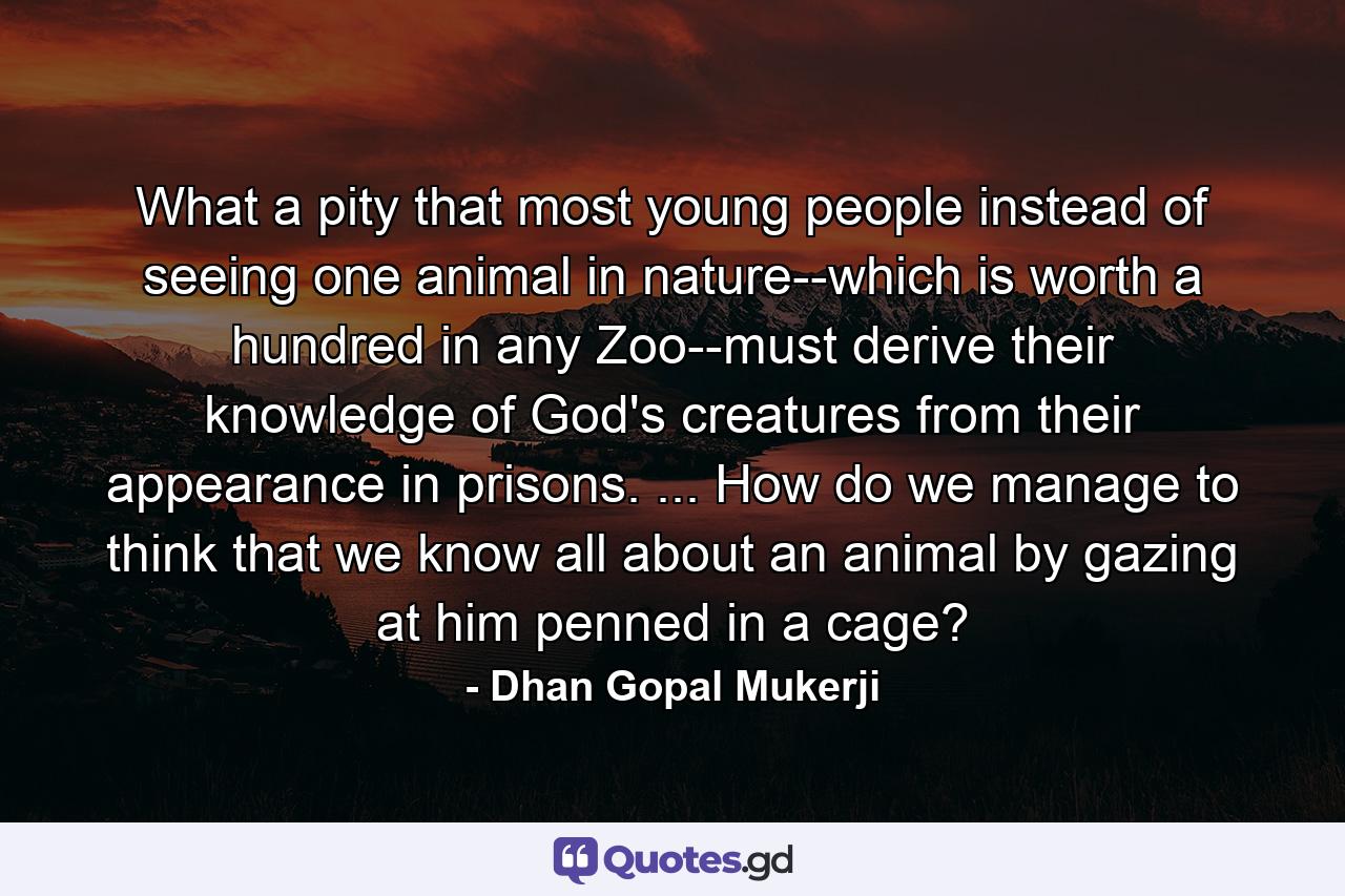 What a pity that most young people instead of seeing one animal in nature--which is worth a hundred in any Zoo--must derive their knowledge of God's creatures from their appearance in prisons. ... How do we manage to think that we know all about an animal by gazing at him penned in a cage? - Quote by Dhan Gopal Mukerji