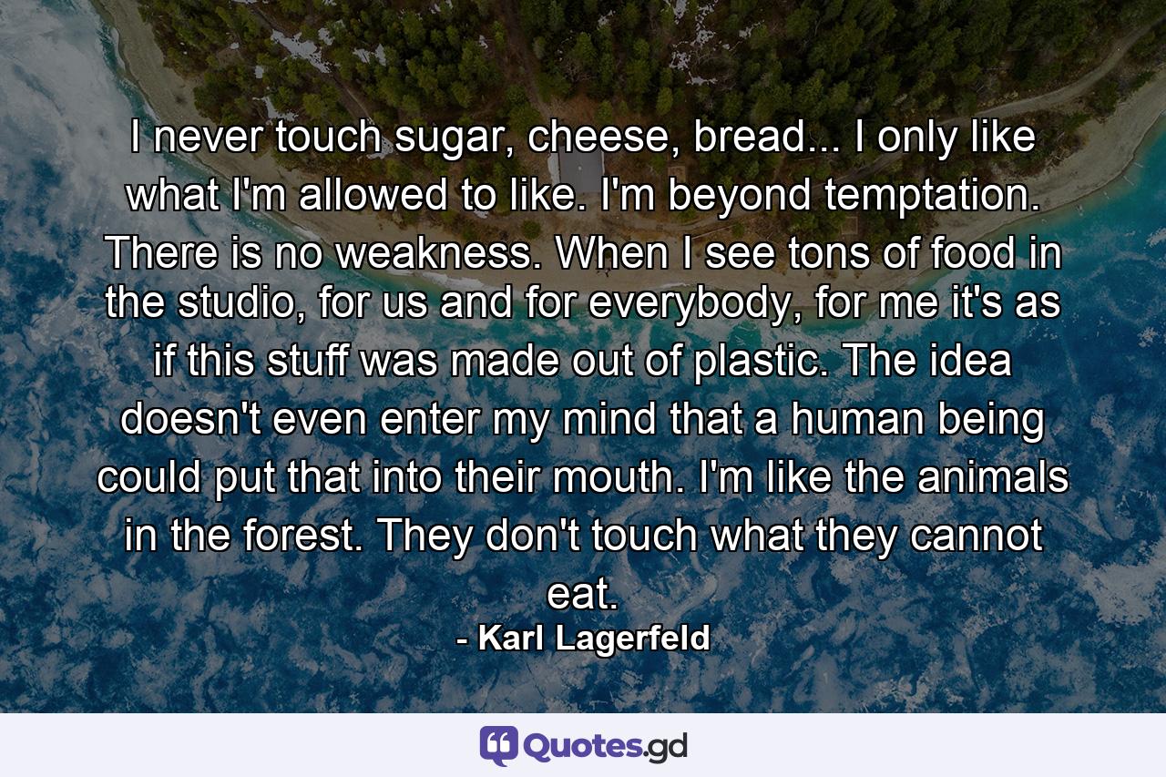 I never touch sugar, cheese, bread... I only like what I'm allowed to like. I'm beyond temptation. There is no weakness. When I see tons of food in the studio, for us and for everybody, for me it's as if this stuff was made out of plastic. The idea doesn't even enter my mind that a human being could put that into their mouth. I'm like the animals in the forest. They don't touch what they cannot eat. - Quote by Karl Lagerfeld