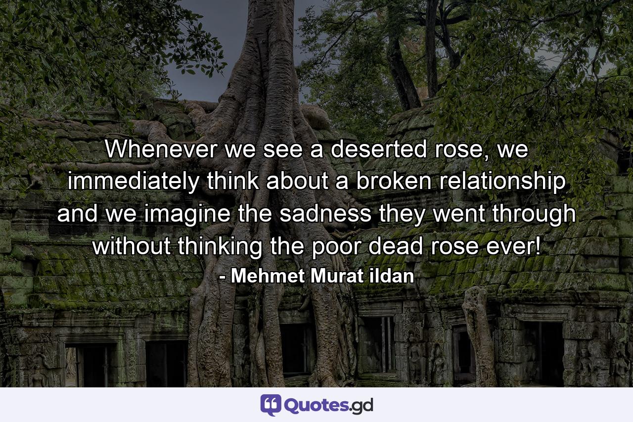 Whenever we see a deserted rose, we immediately think about a broken relationship and we imagine the sadness they went through without thinking the poor dead rose ever! - Quote by Mehmet Murat ildan