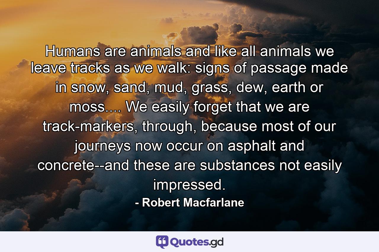 Humans are animals and like all animals we leave tracks as we walk: signs of passage made in snow, sand, mud, grass, dew, earth or moss.... We easily forget that we are track-markers, through, because most of our journeys now occur on asphalt and concrete--and these are substances not easily impressed. - Quote by Robert Macfarlane