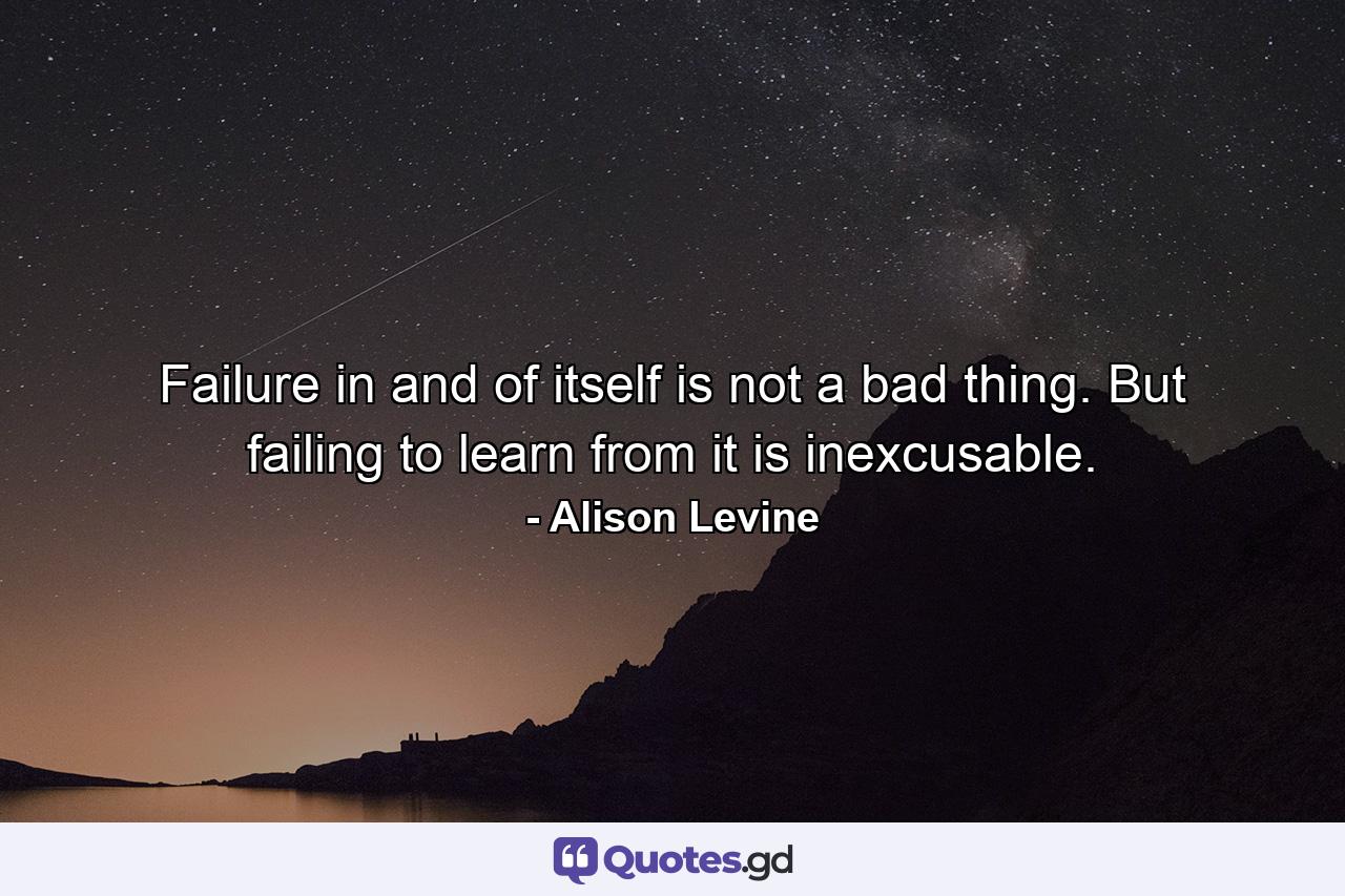 Failure in and of itself is not a bad thing. But failing to learn from it is inexcusable. - Quote by Alison Levine