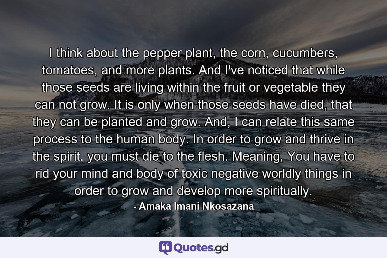 I think about the pepper plant, the corn, cucumbers, tomatoes, and more plants. And I've noticed that while those seeds are living within the fruit or vegetable they can not grow. It is only when those seeds have died, that they can be planted and grow. And, I can relate this same process to the human body. In order to grow and thrive in the spirit, you must die to the flesh. Meaning, You have to rid your mind and body of toxic negative worldly things in order to grow and develop more spiritually. - Quote by Amaka Imani Nkosazana