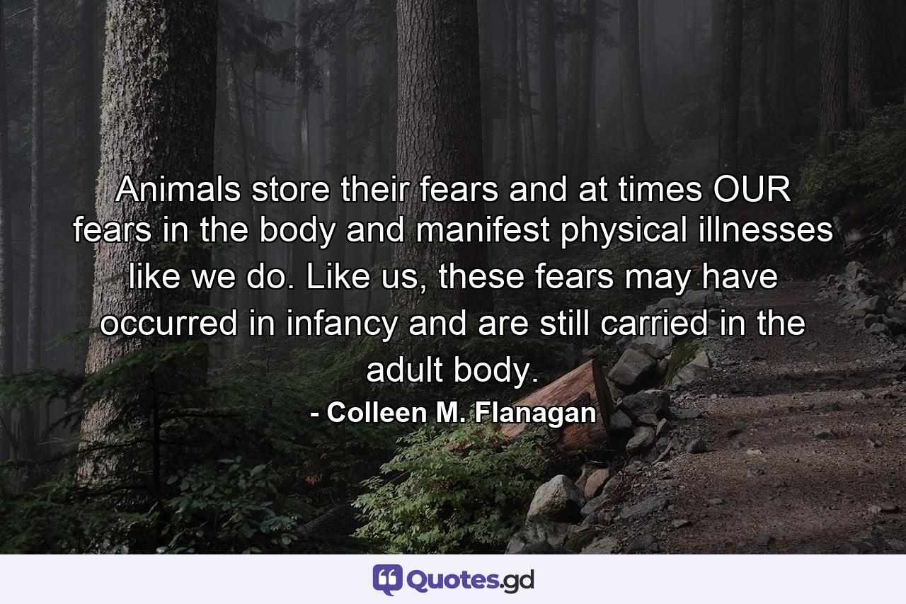 Animals store their fears and at times OUR fears in the body and manifest physical illnesses like we do. Like us, these fears may have occurred in infancy and are still carried in the adult body. - Quote by Colleen M. Flanagan