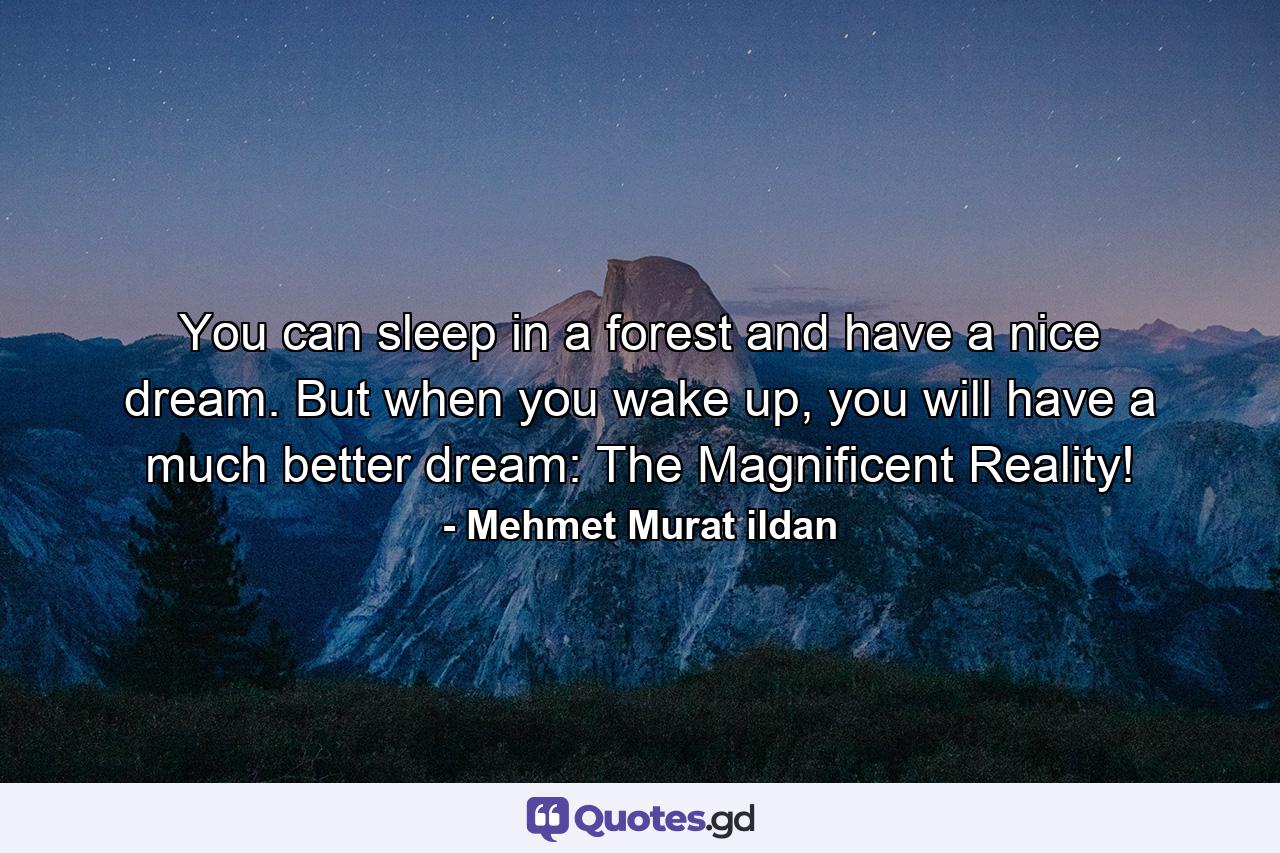 You can sleep in a forest and have a nice dream. But when you wake up, you will have a much better dream: The Magnificent Reality! - Quote by Mehmet Murat ildan