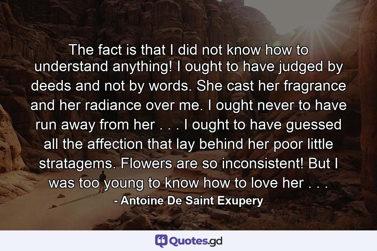 The fact is that I did not know how to understand anything! I ought to have judged by deeds and not by words. She cast her fragrance and her radiance over me. I ought never to have run away from her . . . I ought to have guessed all the affection that lay behind her poor little stratagems. Flowers are so inconsistent! But I was too young to know how to love her . . . - Quote by Antoine De Saint Exupery