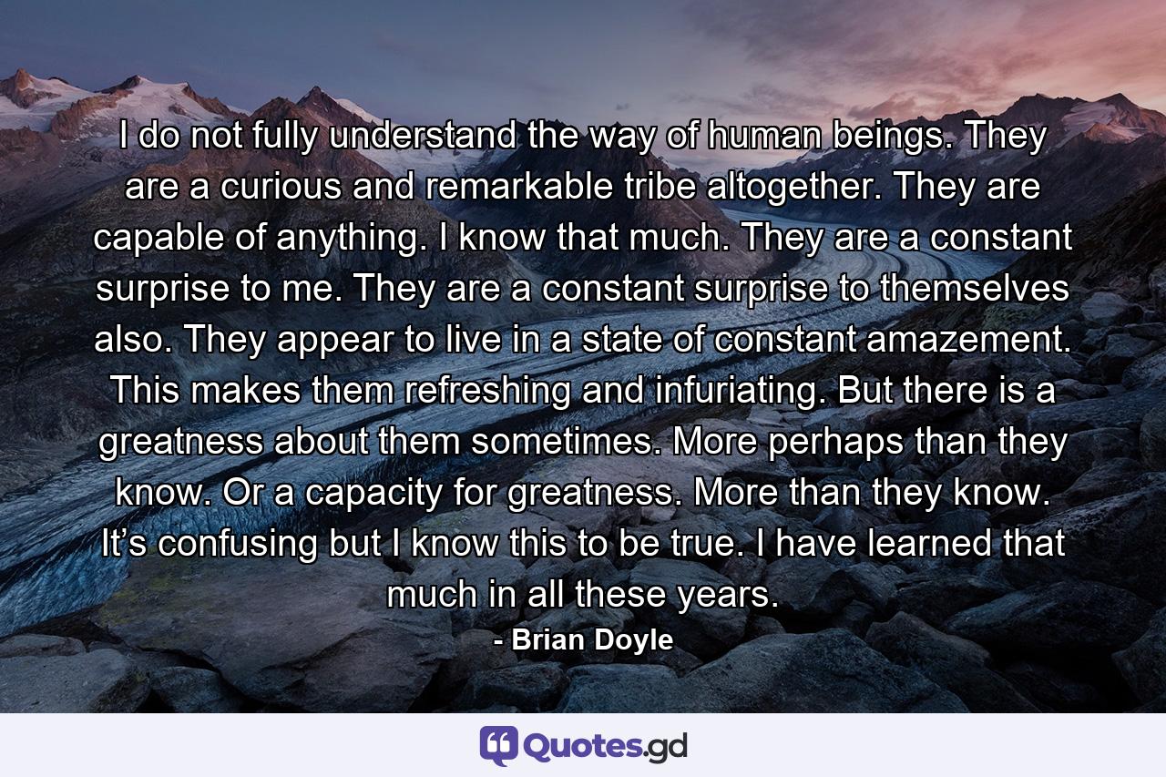 I do not fully understand the way of human beings. They are a curious and remarkable tribe altogether. They are capable of anything. I know that much. They are a constant surprise to me. They are a constant surprise to themselves also. They appear to live in a state of constant amazement. This makes them refreshing and infuriating. But there is a greatness about them sometimes. More perhaps than they know. Or a capacity for greatness. More than they know. It’s confusing but I know this to be true. I have learned that much in all these years. - Quote by Brian Doyle