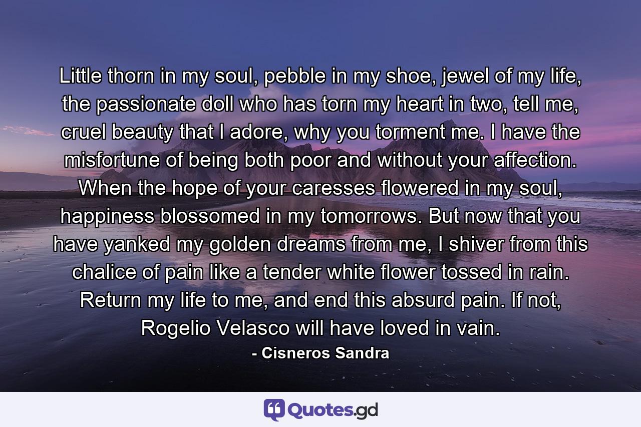 Little thorn in my soul, pebble in my shoe, jewel of my life, the passionate doll who has torn my heart in two, tell me, cruel beauty that I adore, why you torment me. I have the misfortune of being both poor and without your affection. When the hope of your caresses flowered in my soul, happiness blossomed in my tomorrows. But now that you have yanked my golden dreams from me, I shiver from this chalice of pain like a tender white flower tossed in rain. Return my life to me, and end this absurd pain. If not, Rogelio Velasco will have loved in vain. - Quote by Cisneros Sandra