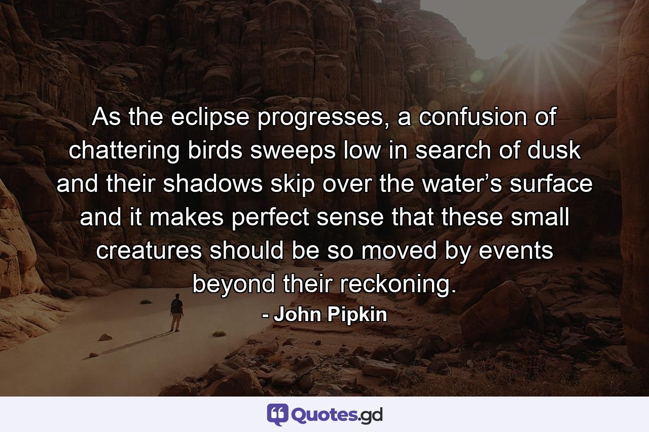 As the eclipse progresses, a confusion of chattering birds sweeps low in search of dusk and their shadows skip over the water’s surface and it makes perfect sense that these small creatures should be so moved by events beyond their reckoning. - Quote by John Pipkin