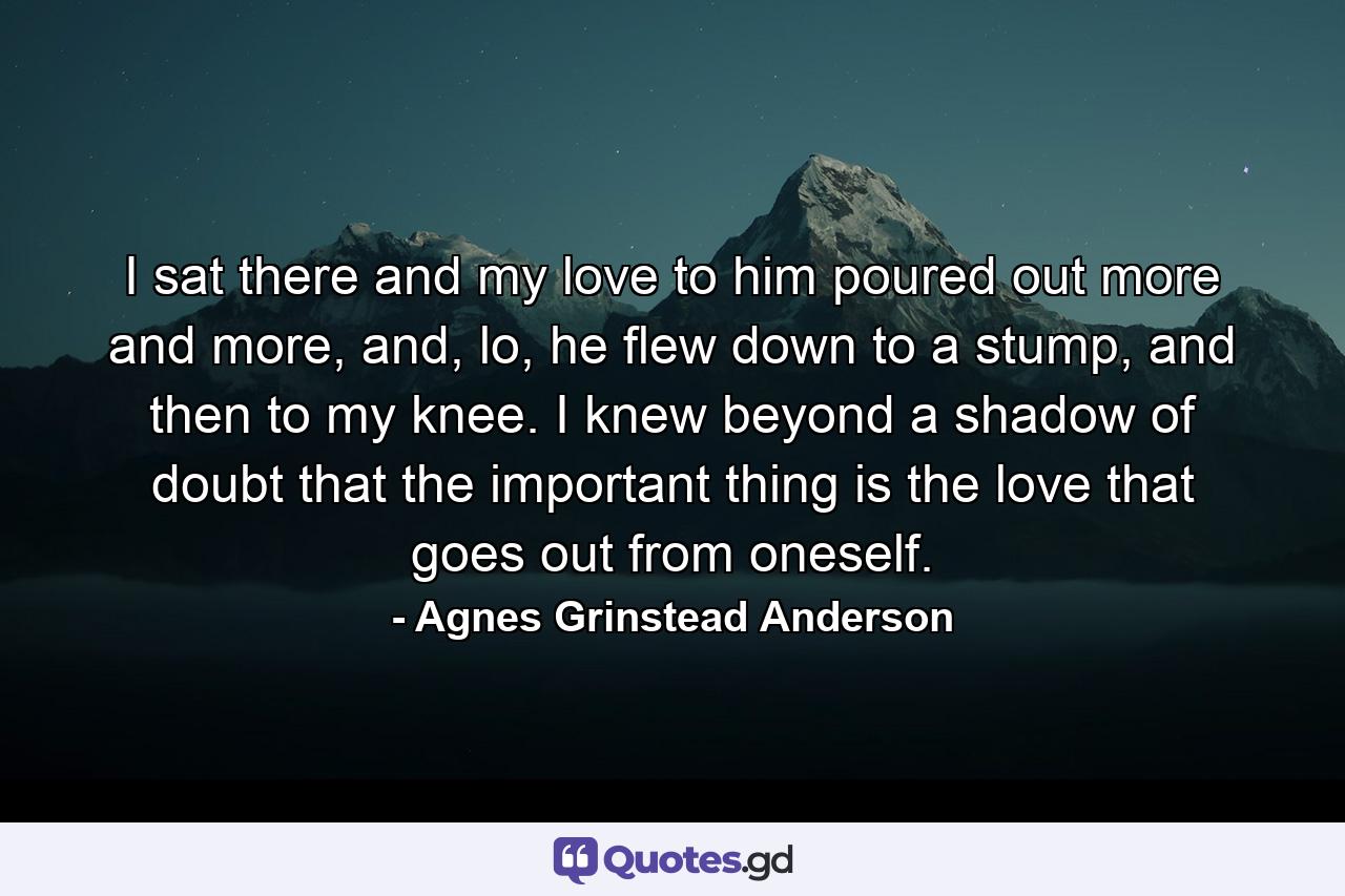 I sat there and my love to him poured out more and more, and, lo, he flew down to a stump, and then to my knee. I knew beyond a shadow of doubt that the important thing is the love that goes out from oneself. - Quote by Agnes Grinstead Anderson