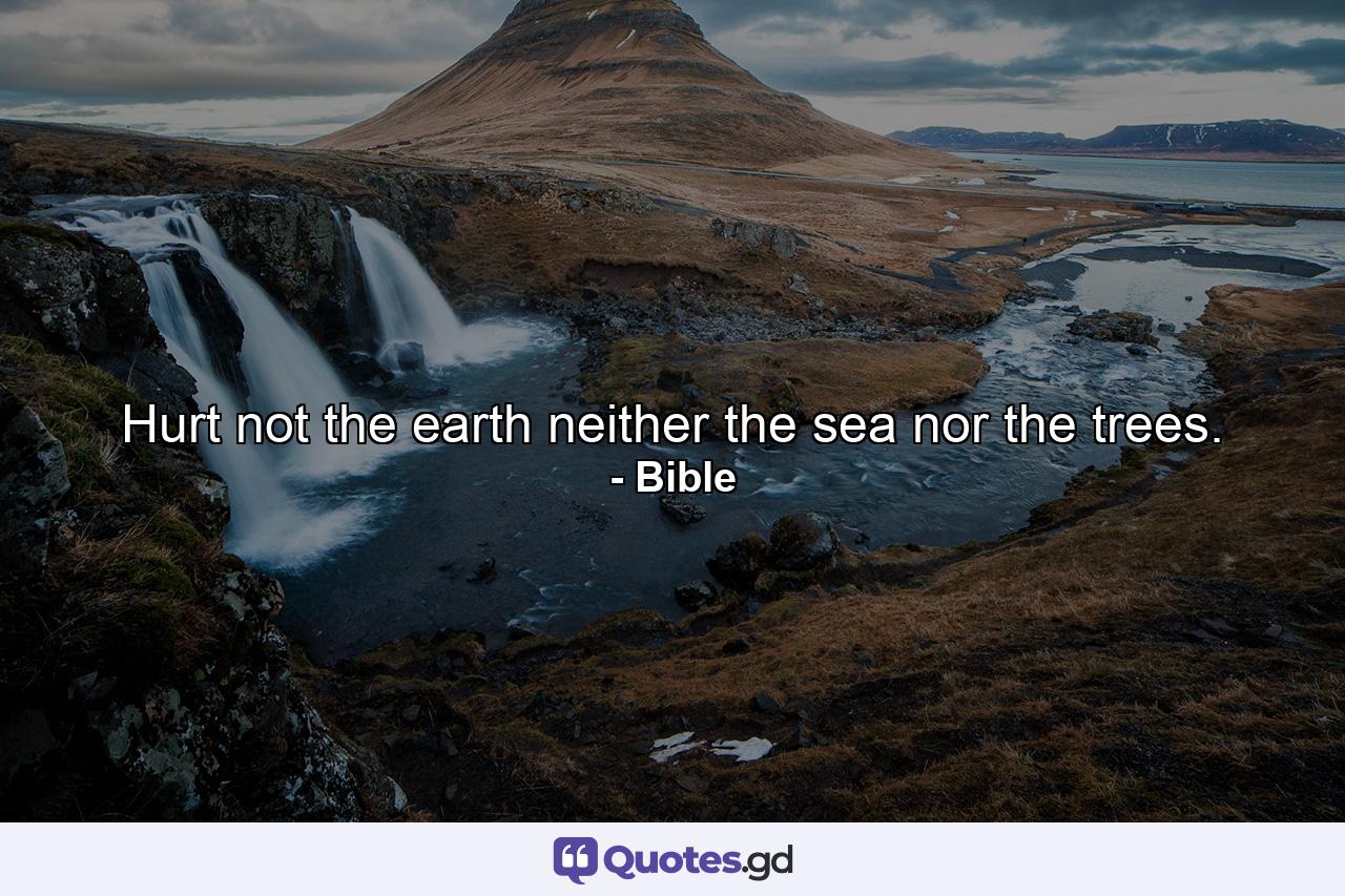 Hurt not the earth  neither the sea  nor the trees. - Quote by Bible