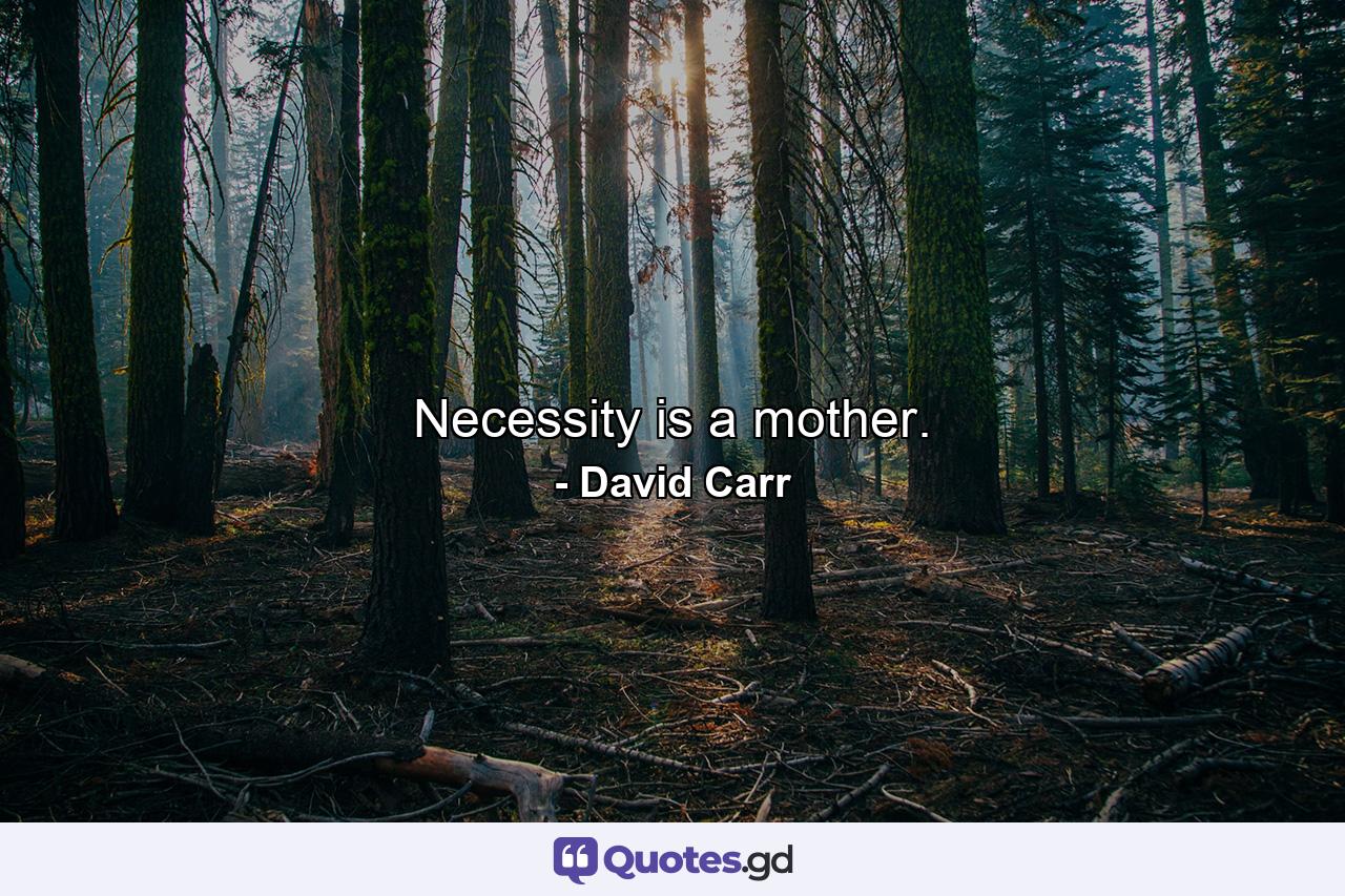 Necessity is a mother. - Quote by David Carr