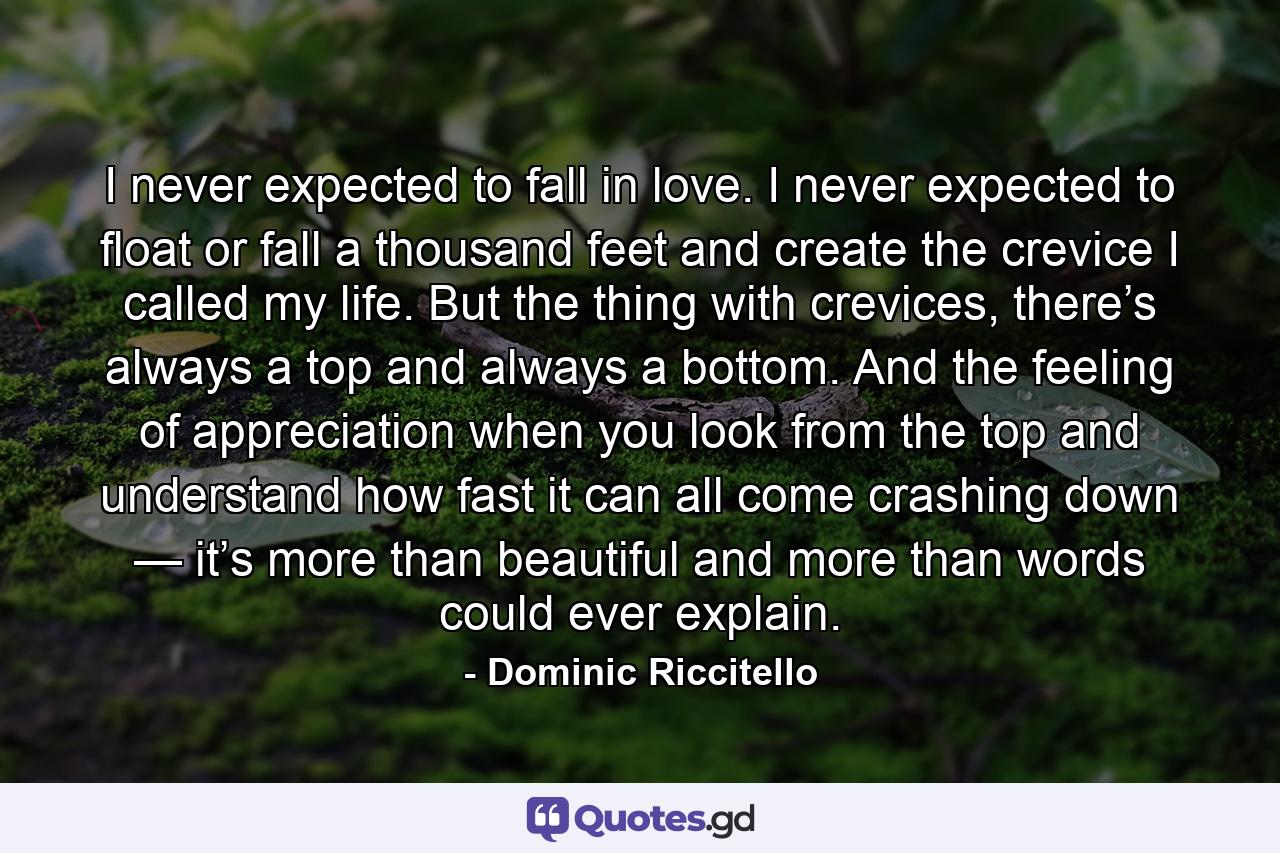 I never expected to fall in love. I never expected to float or fall a thousand feet and create the crevice I called my life. But the thing with crevices, there’s always a top and always a bottom. And the feeling of appreciation when you look from the top and understand how fast it can all come crashing down — it’s more than beautiful and more than words could ever explain. - Quote by Dominic Riccitello