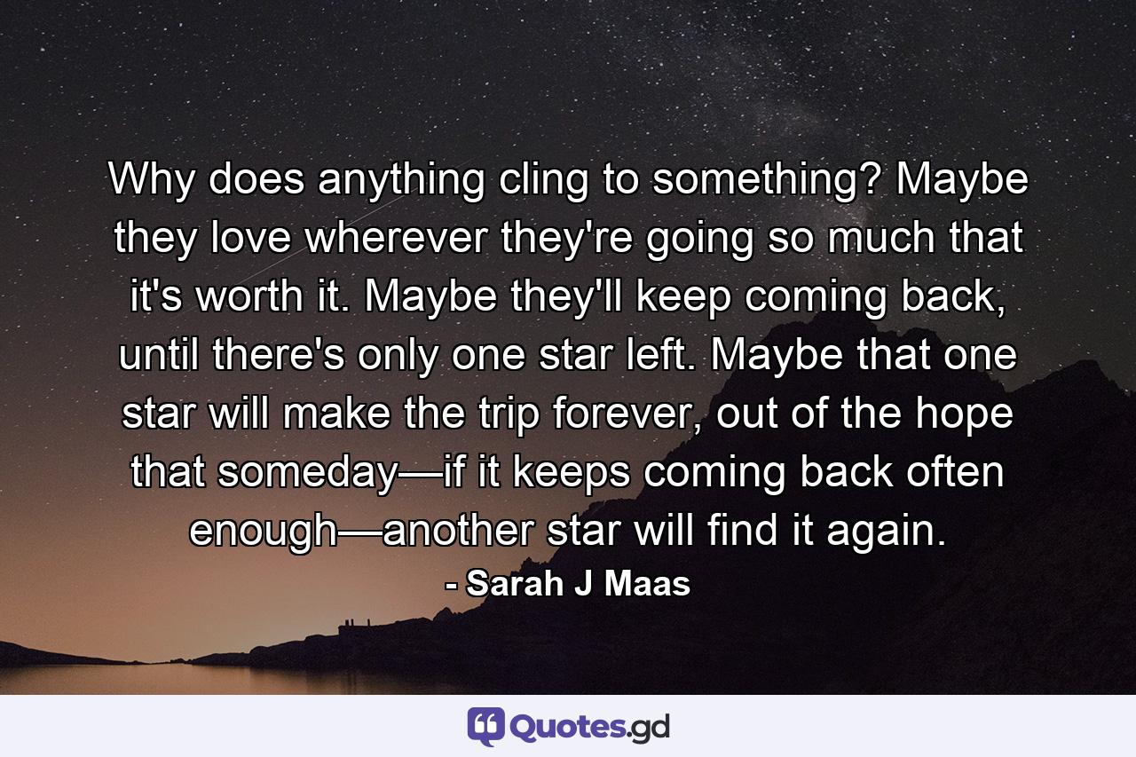 Why does anything cling to something? Maybe they love wherever they're going so much that it's worth it. Maybe they'll keep coming back, until there's only one star left. Maybe that one star will make the trip forever, out of the hope that someday—if it keeps coming back often enough—another star will find it again. - Quote by Sarah J Maas