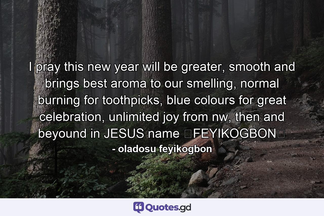 I pray this new year will be greater, smooth and brings best aroma to our smelling, normal burning for toothpicks, blue colours for great celebration, unlimited joy from nw, then and beyound in JESUS name ★FEYIKOGBON★ - Quote by oladosu feyikogbon