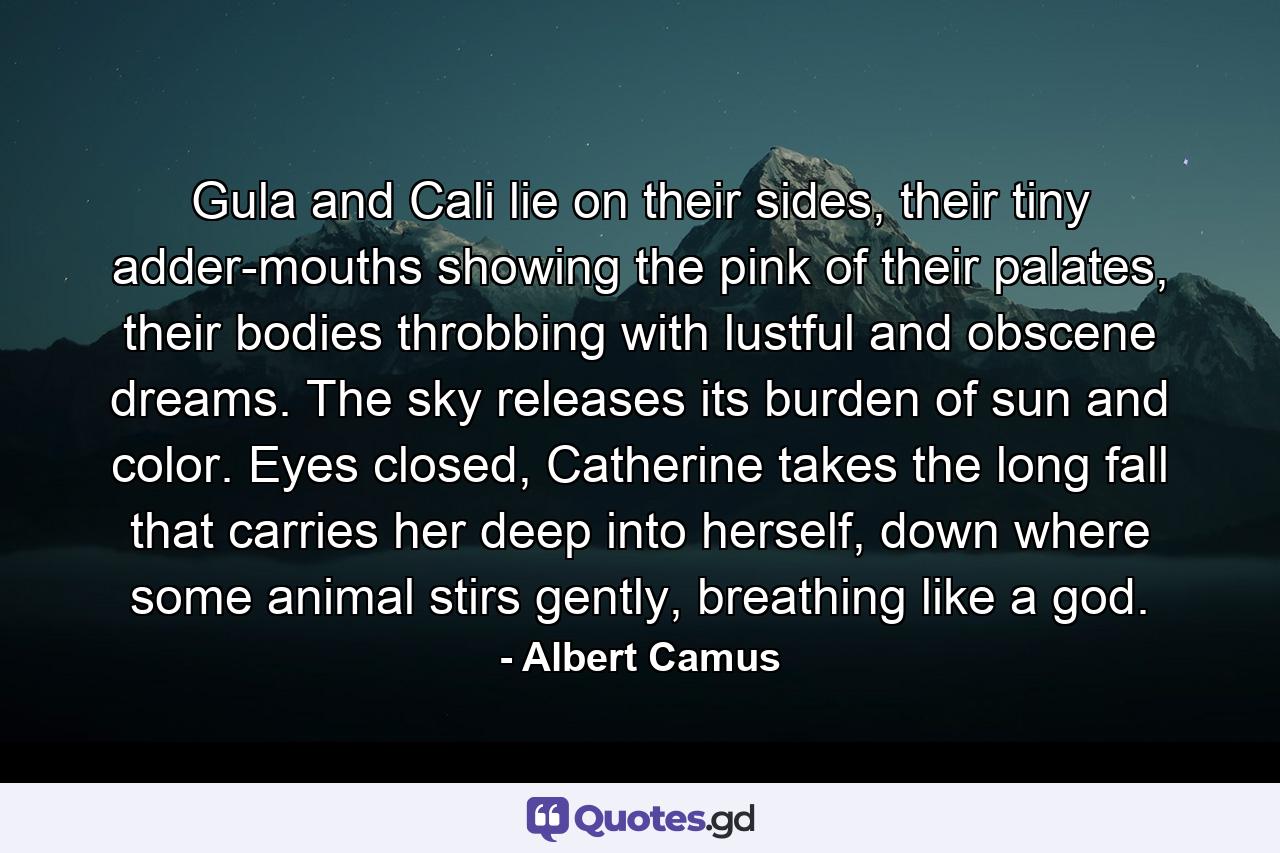 Gula and Cali lie on their sides, their tiny adder-mouths showing the pink of their palates, their bodies throbbing with lustful and obscene dreams. The sky releases its burden of sun and color. Eyes closed, Catherine takes the long fall that carries her deep into herself, down where some animal stirs gently, breathing like a god. - Quote by Albert Camus