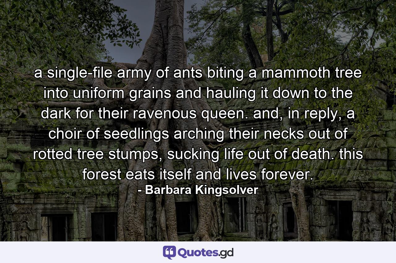 a single-file army of ants biting a mammoth tree into uniform grains and hauling it down to the dark for their ravenous queen. and, in reply, a choir of seedlings arching their necks out of rotted tree stumps, sucking life out of death. this forest eats itself and lives forever. - Quote by Barbara Kingsolver