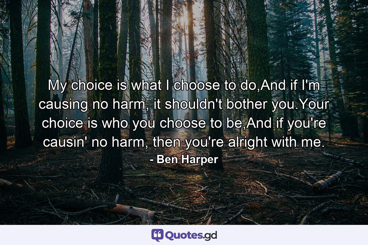 My choice is what I choose to do,And if I'm causing no harm, it shouldn't bother you.Your choice is who you choose to be,And if you're causin' no harm, then you're alright with me. - Quote by Ben Harper