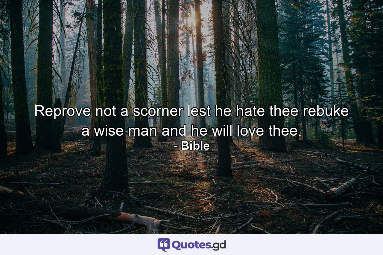 Reprove not a scorner  lest he hate thee  rebuke a wise man and he will love thee. - Quote by Bible