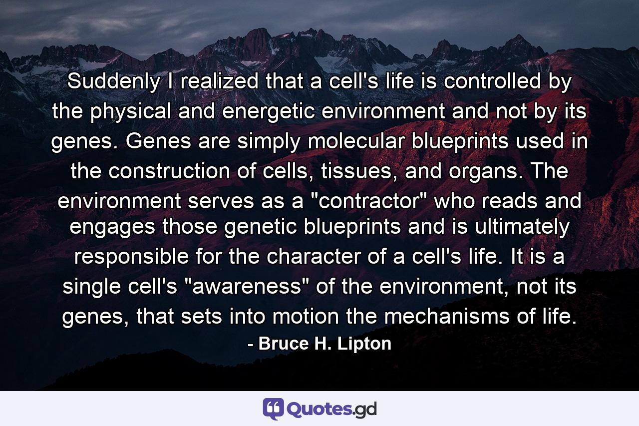 Suddenly I realized that a cell's life is controlled by the physical and energetic environment and not by its genes. Genes are simply molecular blueprints used in the construction of cells, tissues, and organs. The environment serves as a 