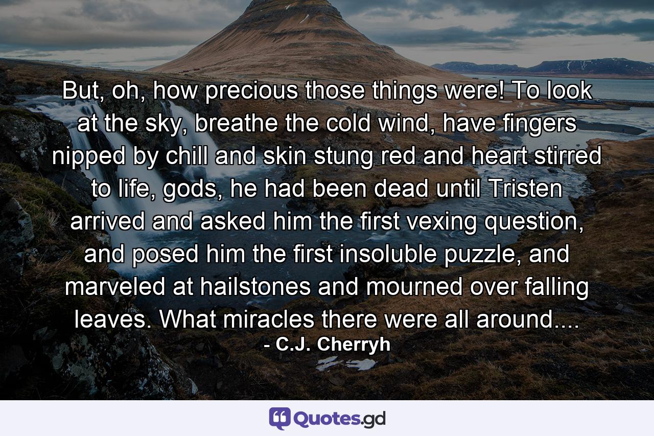 But, oh, how precious those things were! To look at the sky, breathe the cold wind, have fingers nipped by chill and skin stung red and heart stirred to life, gods, he had been dead until Tristen arrived and asked him the first vexing question, and posed him the first insoluble puzzle, and marveled at hailstones and mourned over falling leaves. What miracles there were all around.... - Quote by C.J. Cherryh